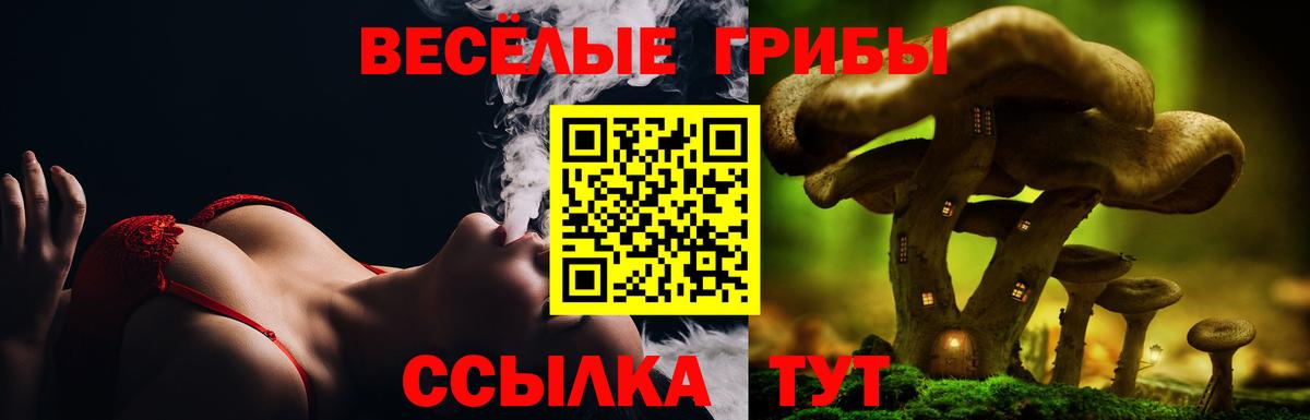 Псилоцибиновые грибы Psilocybe Лысьва